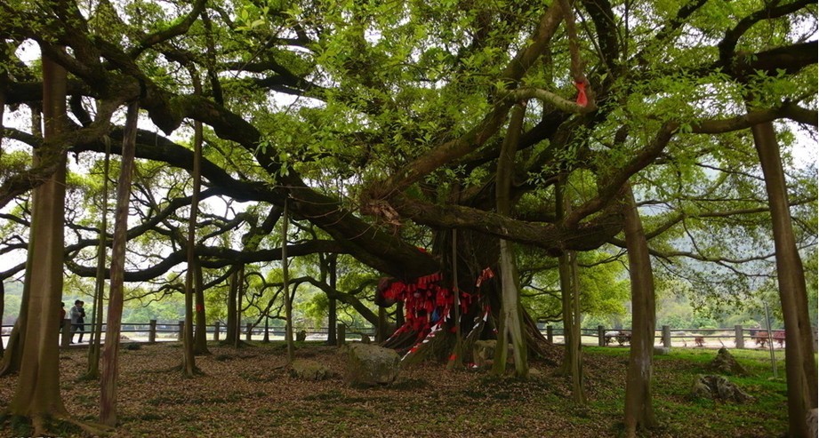 桂林阳朔 桂林阳朔